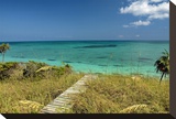 Board Walk to Heaven II Stretched Canvas Print by Jan Michael Ringlever