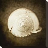 Cochlear I Stretched Canvas Print by Ryan Hartson-Weddle