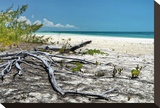 Crooked Branches Stretched Canvas Print by Jan Michael Ringlever