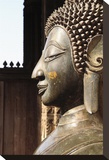 Copper Statue Stretched Canvas Print by Brian Stoneman