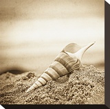 Slefless Stretched Canvas Print by Ryan Hartson-Weddle