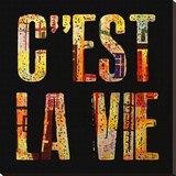 C'est la Vie Stretched Canvas Print by Irena Orlov