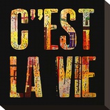 C'est la Vie Stretched Canvas Print by Irena Orlov