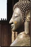 Copper Statue Stretched Canvas Print by Brian Stoneman