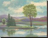 River Scape I Stretched Canvas Print by Victor Valla