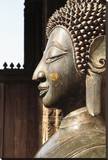 Copper Statue Stretched Canvas Print by Brian Stoneman