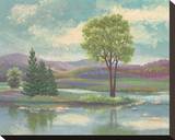 River Scape I Stretched Canvas Print by Victor Valla