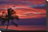 Morning Twilight Magic Stretched Canvas Print by Vaughn Garner