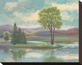 River Scape I Stretched Canvas Print by Victor Valla