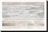 Nature does not hurry (after Lao Tsu) Stretched Canvas Print