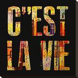 C'est la Vie Stretched Canvas Print by Irena Orlov