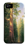 The Big Trees, Mariposa Grove, California iPhone 5 Case por Albert Bierstadt