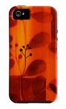 Sun Kissed Silhouette IV iPhone 5 Case by Vision Studio 