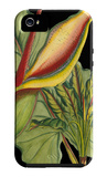 Tropical Plant on Black II iPhone 5 Case
