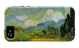 Cypresses iPhone 5 Case