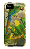 Tropical Birds I iPhone 5 Case by Cassel 
