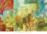 Midday Bloom II Prints by Elise Remender