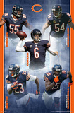 Chicago Bears 2012-13 Team Prints