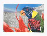 Finest Hope Limited Edition by Michael Knigin