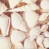 Beachcomber Prints by Carolyn Cochrane