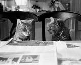 Not While I’m Reading Láminas por Kim Levin Not While I’m Reading Láminas por Kim Levin