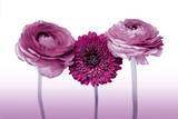 Trinity Flowers Posters