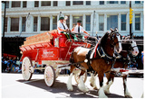 Budweiser Clydesdales Archival Photo Poster Posters