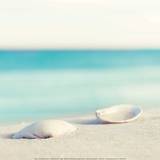 Serenity Prints by Carolyn Cochrane