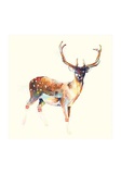 Deer Wearing Gym Socks Prints by Charmaine Olivia