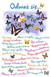 Dare to... Polska Posters