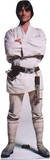 Luke Skywalker - Star Wars Movie TALKING Lifesize Standup Poster Stand Up