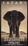 Serengeti Affiche par Steve Forney