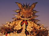Thorny Devil, Moloch Horridus, Central Desert, Australia Photographic Print by Frans Lanting