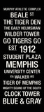 Memphis: College Town Wall Art Stretched Canvas Print