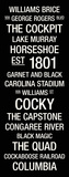 South Carolina: College Town Wall Art Stretched Canvas Print
