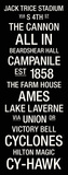 Iowa State: College Town Wall Art Stretched Canvas Print