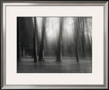 Untitled Framed Photographic Print by Clare Marie Barboza