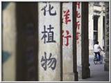 Man Riding Bicycle Along Street, Chikanzhen, Guangdong, Guangdong, China Gerahmter Fotografie-Druck von Ian Trower