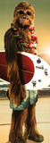 Star Wars-Chewie Surf Photographie