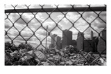 Downtown on the Rocks Valokuvavedos tekijänä Evan Morris Cohen Downtown on the Rocks Valokuvavedos tekijänä Evan Morris Cohen