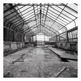 Once a Greenhouse Photographic Print by Evan Morris Cohen