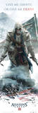 Assassins Creed-Liberty Affiches