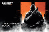 Call of Duty Black Ops 2 -Landscape Posters