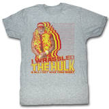 Hulk Hogan - Under-Appreciated T-shirts
