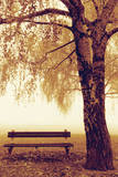 Park Bench Obrazy