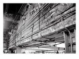 Stripped Bare Photographic Print by Evan Morris Cohen