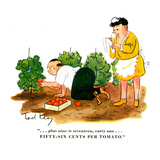Hazel Cartoon Posters by Ted Key