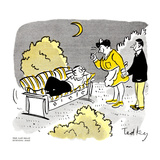 Hazel Cartoon Posters by Ted Key