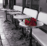 Say It With Flowers II Prints by Assaf Frank