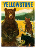 Yellowstone Go Greyhound c.1960s Affiches